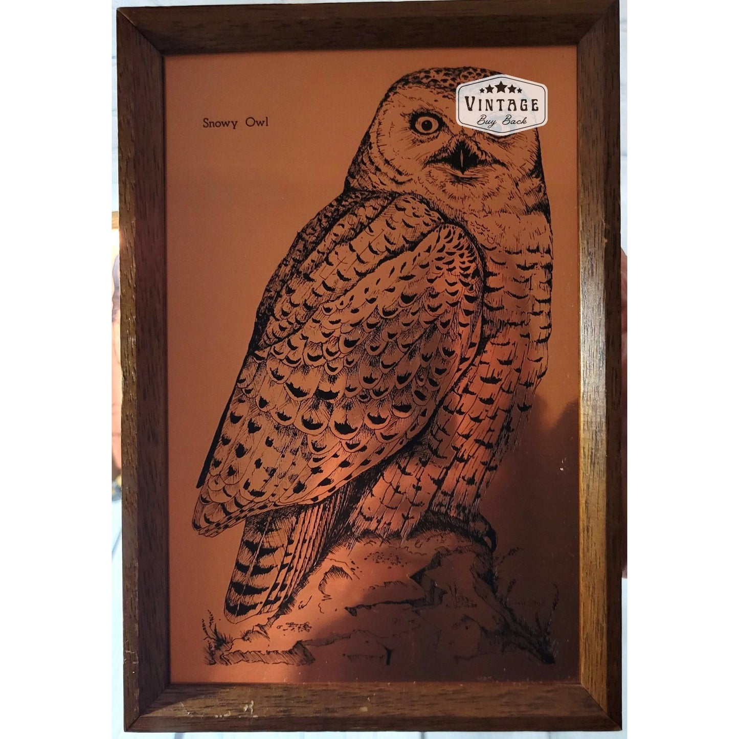 Vintage Original Etchmaster Owl Copper Etchings