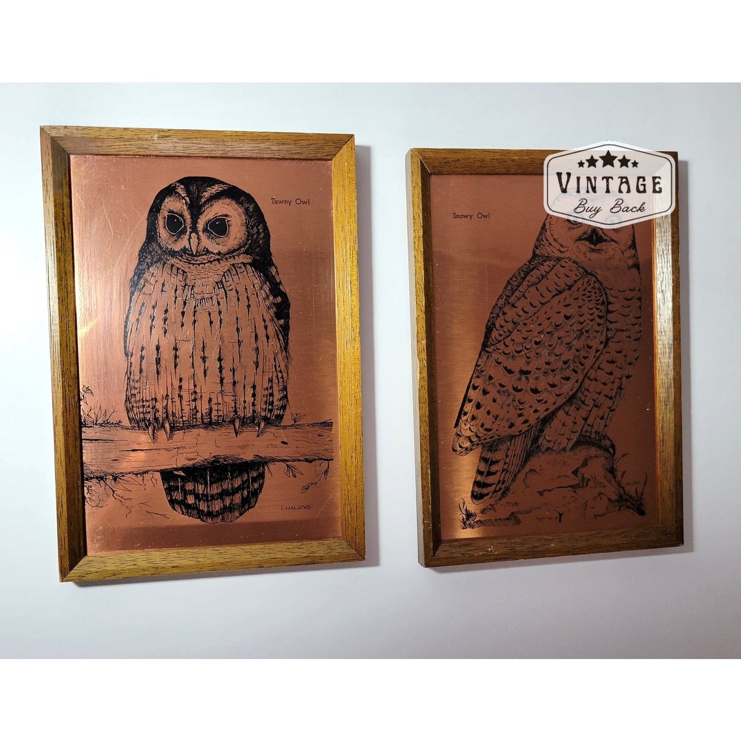 Vintage Original Etchmaster Owl Copper Etchings