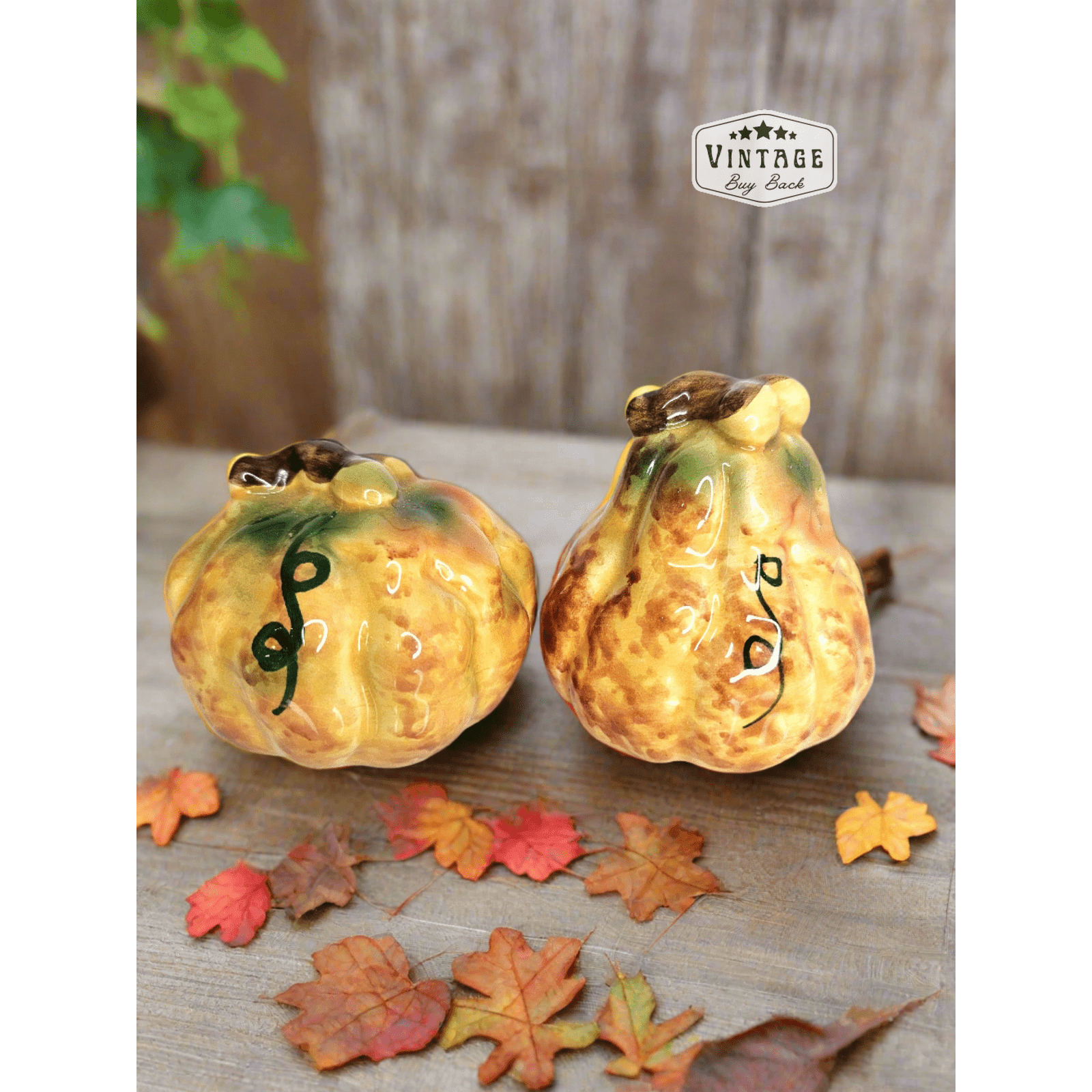 Pumpkin & Gord Salt & Pepper Shaker