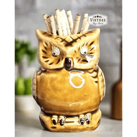 1970s Vintage Owl googly eyes ceramic Toothpick Holder